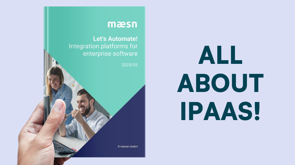maesn ipaas whitepaper en